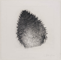 KT 1996 003
          <br/>
          Denneapel (Pinecone)
          <br/>
          <em>Talasnik, Stephen (1954)</em>